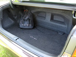 ES 300 trunk