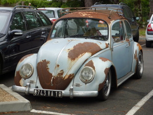 rusty Beetle