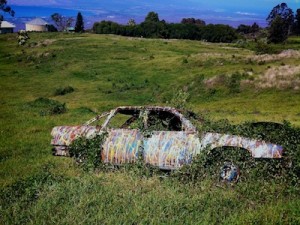 old car new car lead