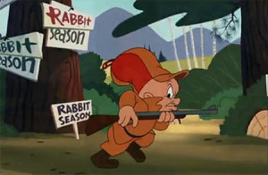 rabbit season!