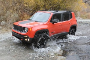 '15 Renegade water