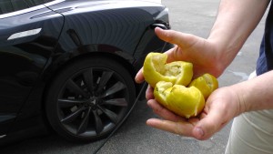 Tesla lemon