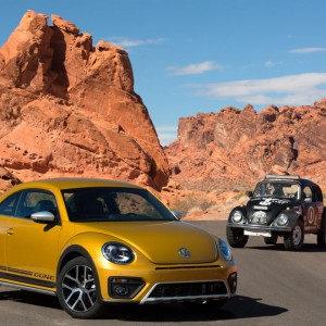 '17 Beetle w:old