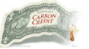 carbon credit