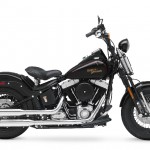 Harley Davidson Crossbones