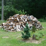 woodpile