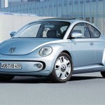 Beetle 1