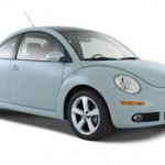 beetle pic