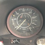 Beetle speedo