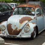 rusty Beetle