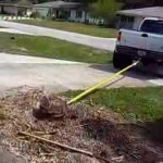 stump pull pic