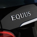 ’14 Equus badge