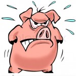 angry pig 2