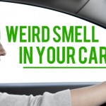 car smells lead