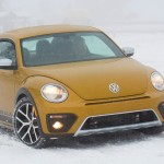 ’17 Beetle in snow