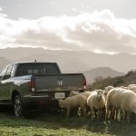 Innovative 2017 Honda Ridgeline Pickup Leads the Flock