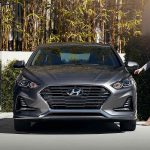 ’18 Sonata with chick