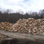 wood pile