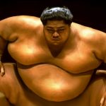 sumo 2