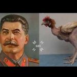 stalin chicken