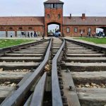 Auschwitz 9