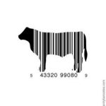 cattle bar code