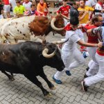 running bulls